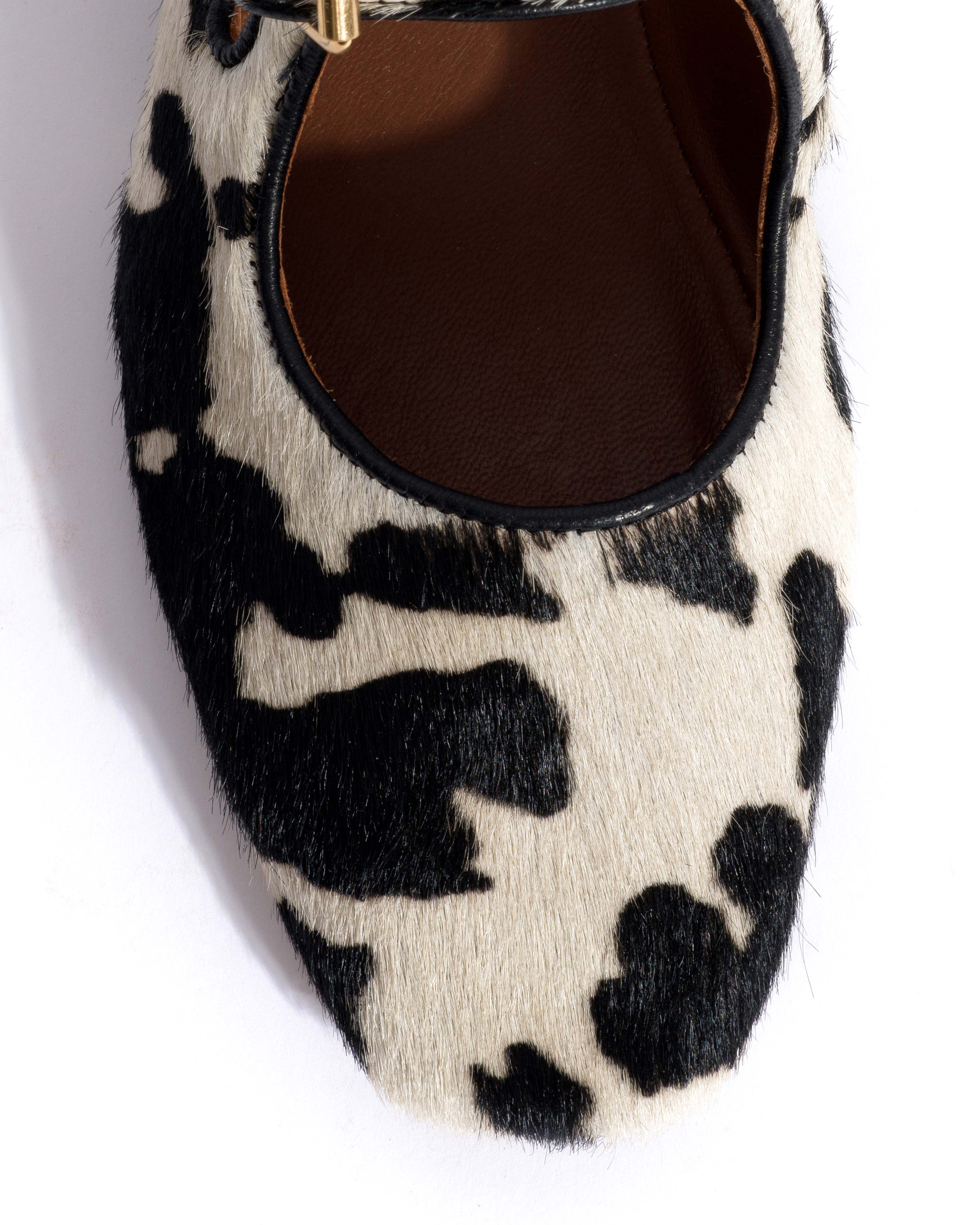 Praise Calf hair Holstein cow