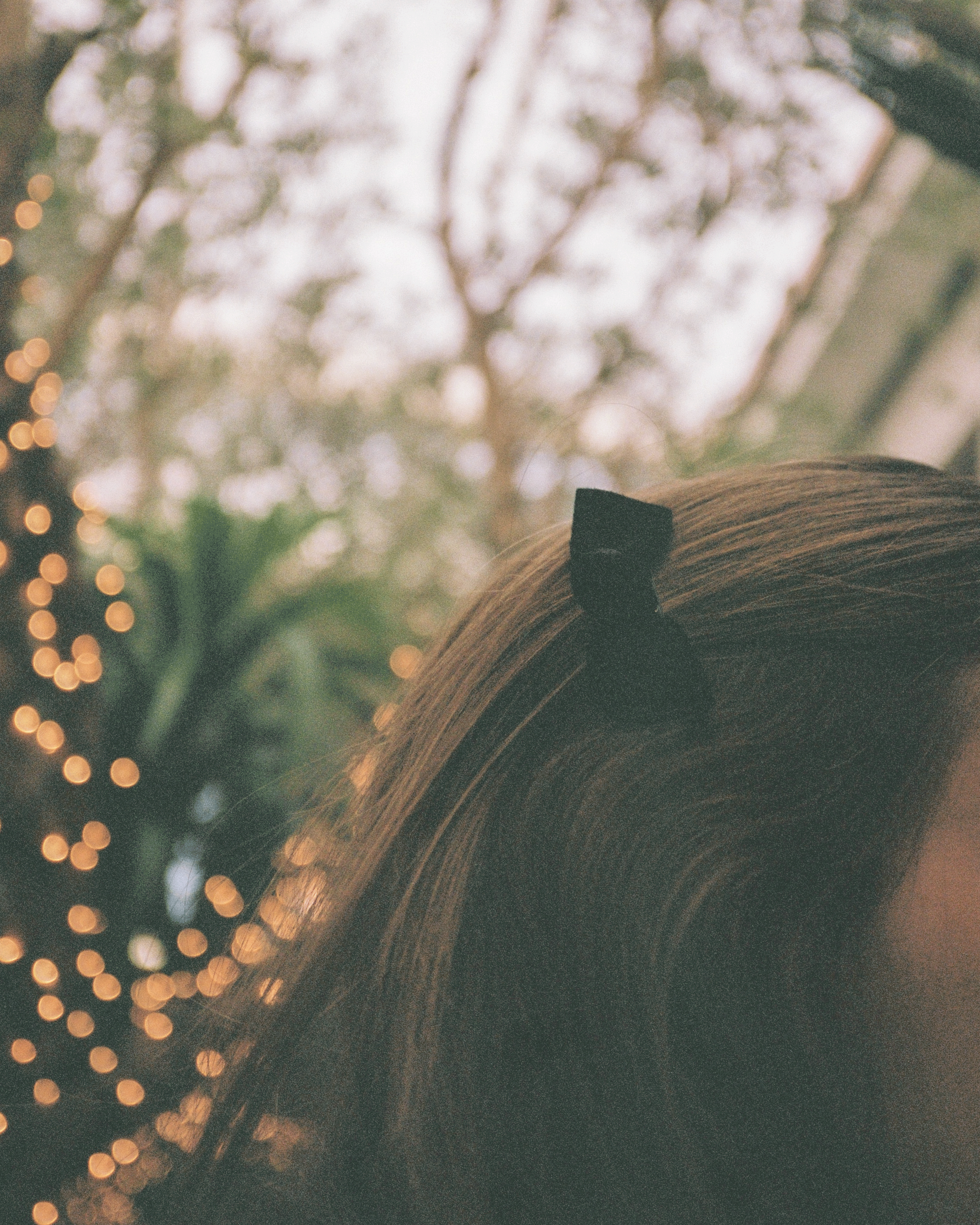 Nabie hair clip petite bow Calf suede Black
