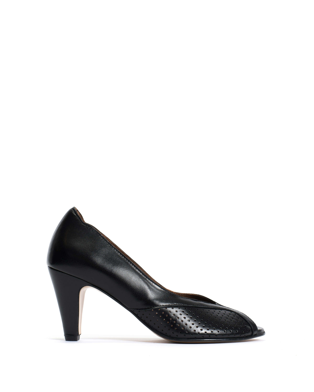Alania Shiny lamb Black