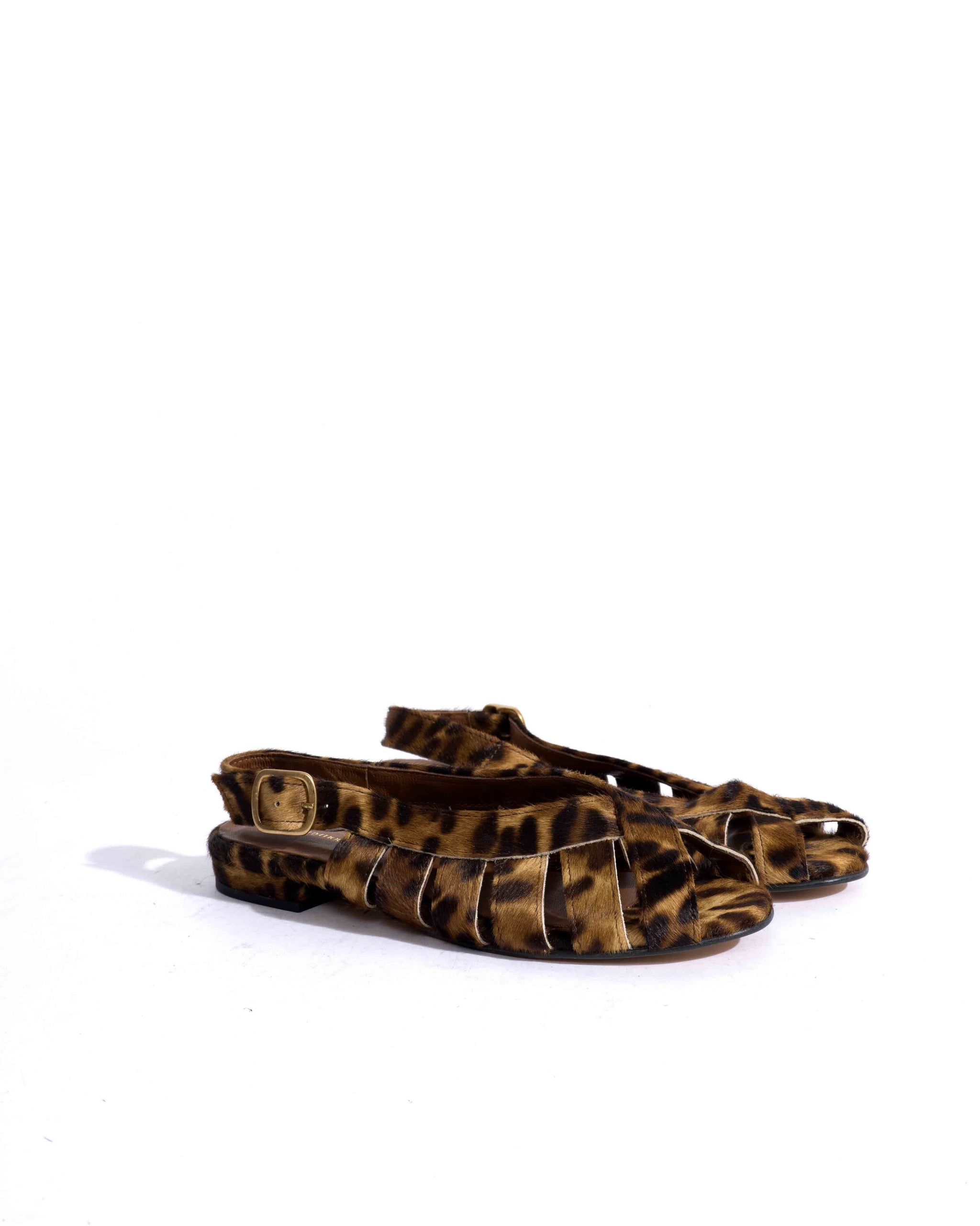 Sample-02569 - Anonymous Copenhagen Samples