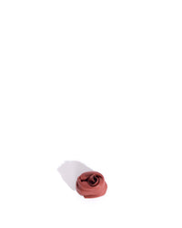 Rose shoe clip Shiny lamb Pomegranate