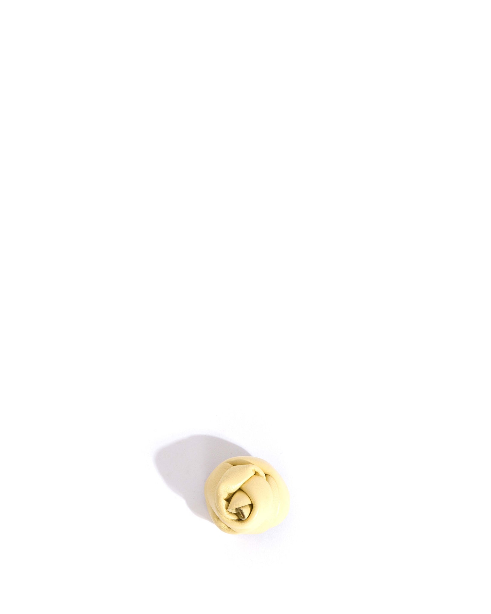 Rose shoe clip Shiny lamb Pineapple ice