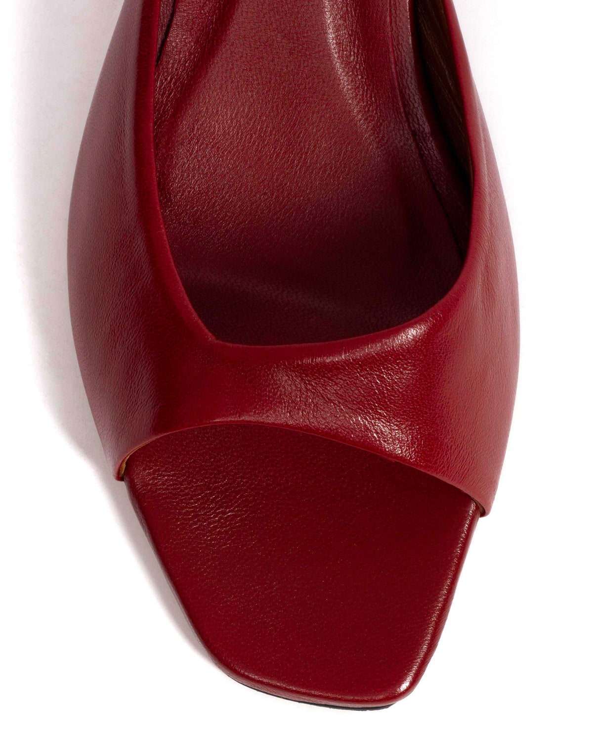 Mazy 55 Shiny lamb Pomegranate