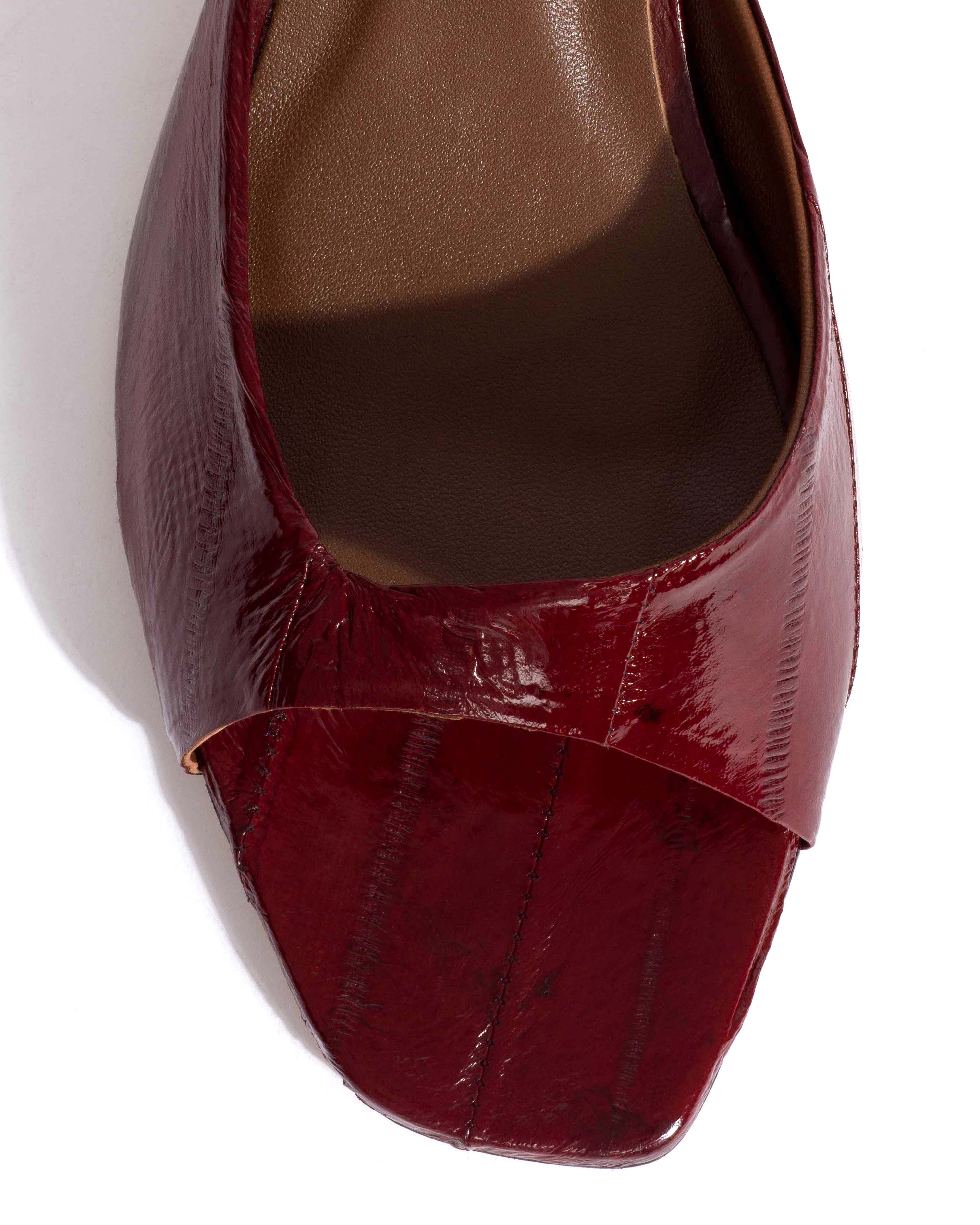 Mazy 55 Shiny eel Pomegranate