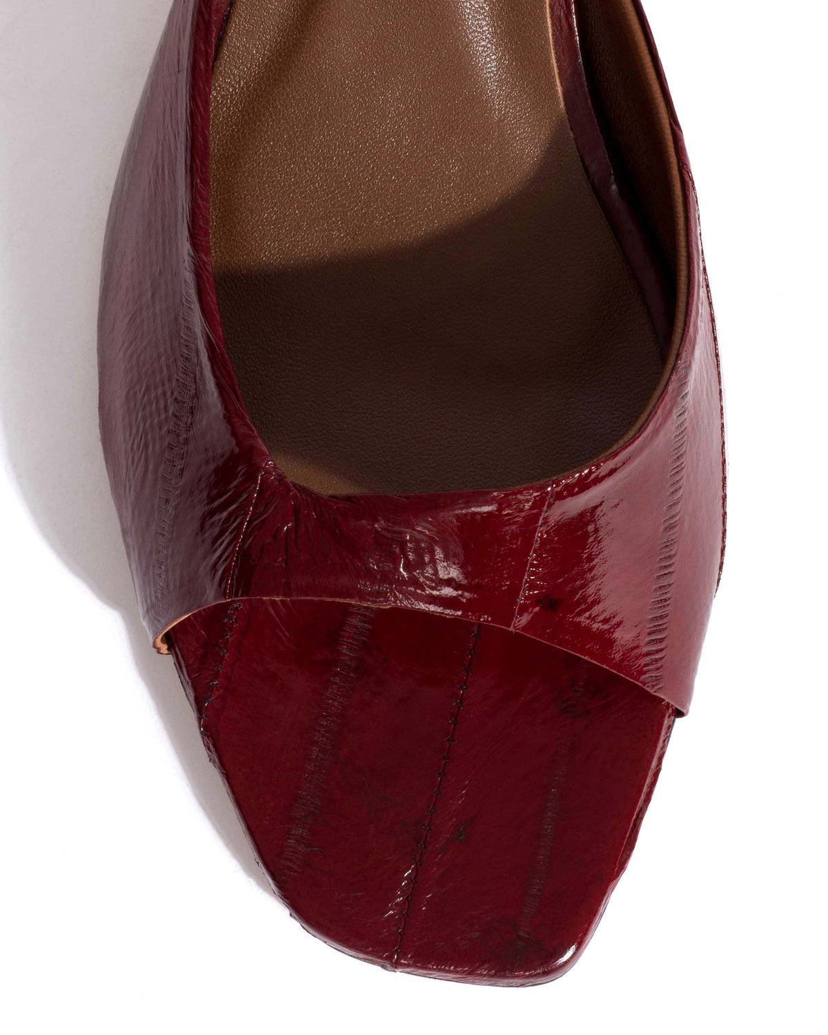 Mazy 55 Shiny eel Pomegranate