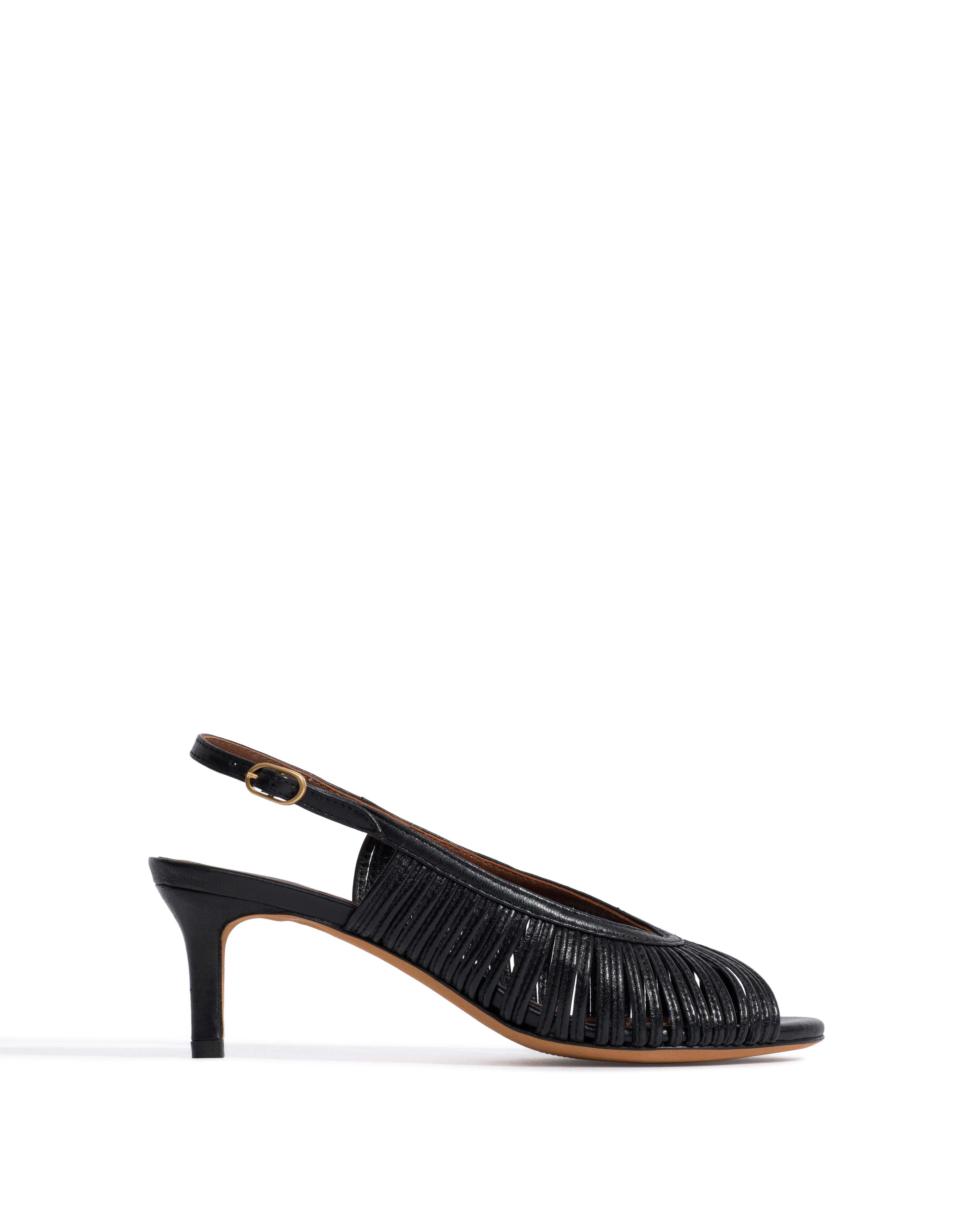 Zenia 55 Shiny lamb Black