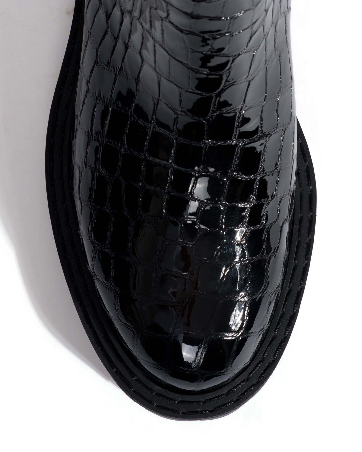 Haily low cut Polished croco calf Black