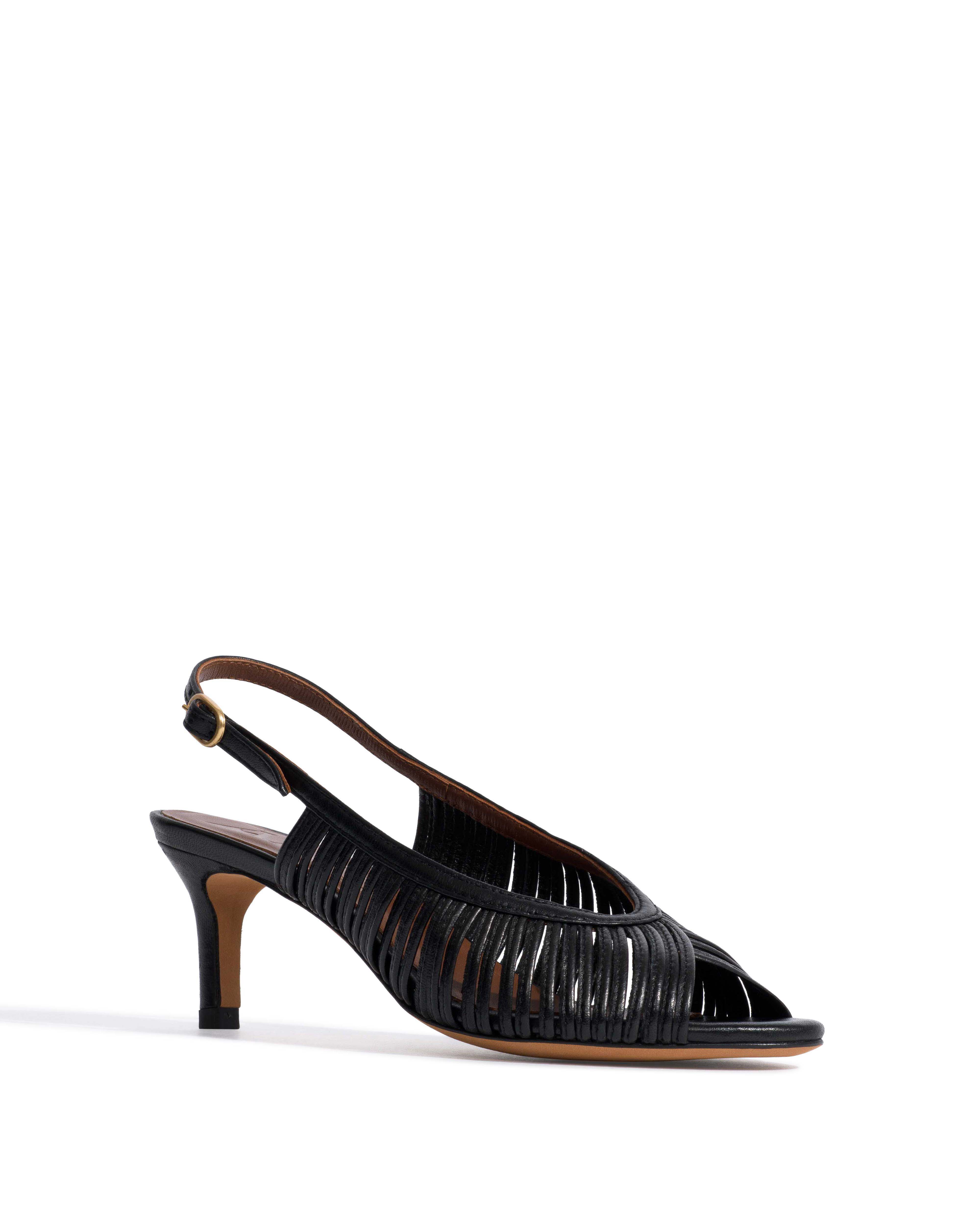 Zenia 55 Shiny lamb Black