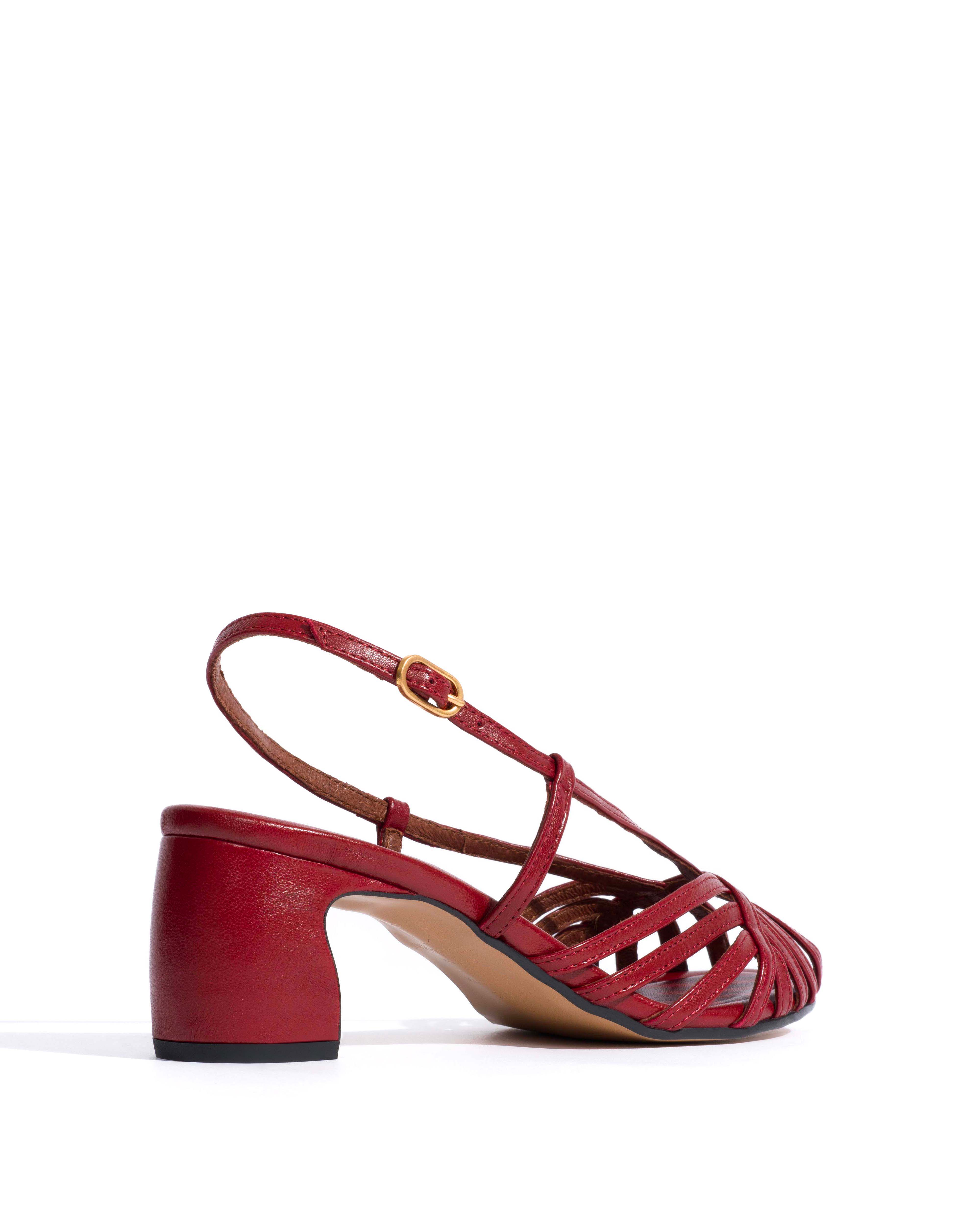 Briddie 50 Shiny lamb Pomegranate